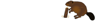 logo_lizotte_solution