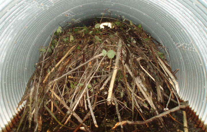 Culvert blockage